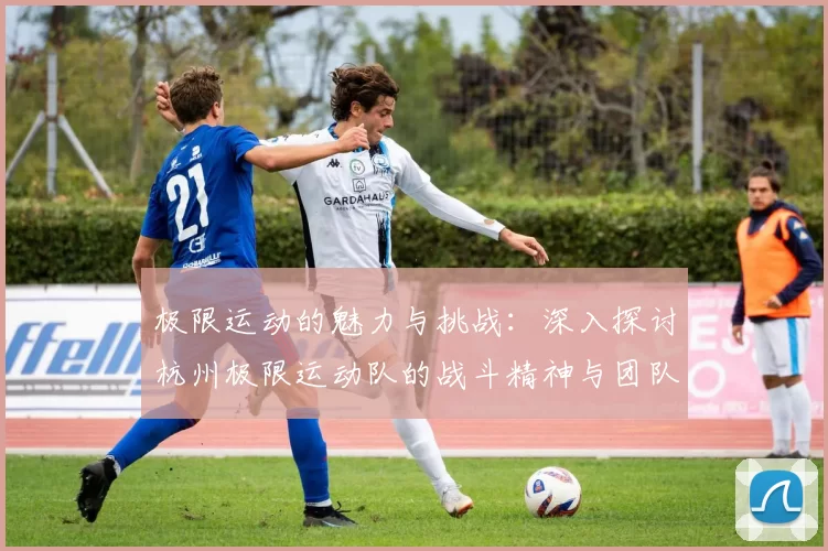 极限运动的魅力与挑战：深入探讨杭州极限运动队的战斗精神与团队合作