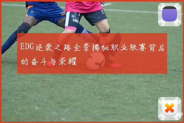 EDG逆袭之路全景揭秘职业联赛背后的奋斗与荣耀
