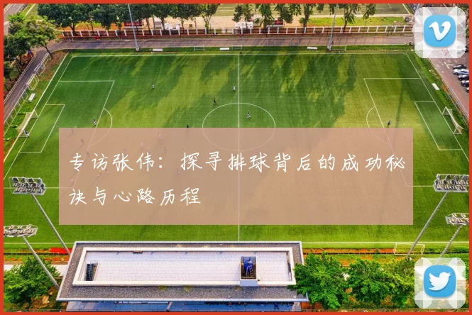 专访张伟：探寻排球背后的成功秘诀与心路历程