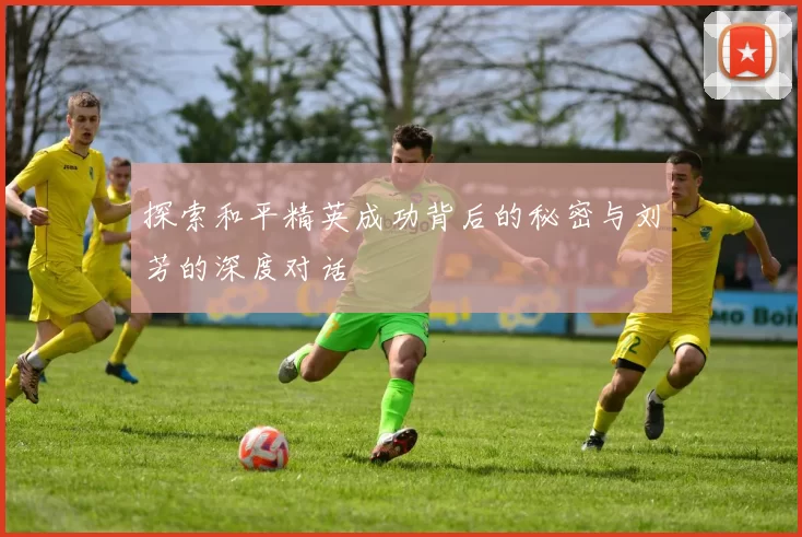 探索和平精英成功背后的秘密与刘芳的深度对话