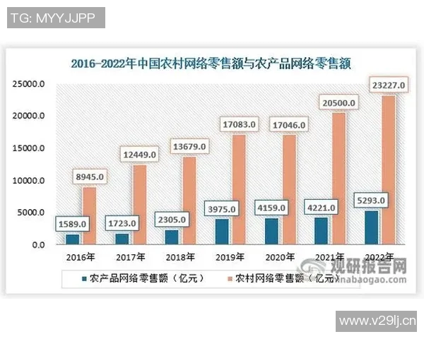 竞技运动组的创新发展与未来趋势探析：推动体育产业升级的核心力量